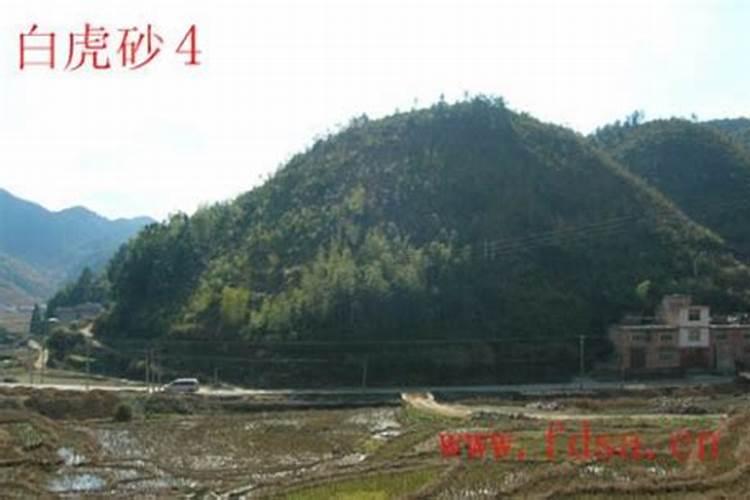 平原地区如何看阴宅风水