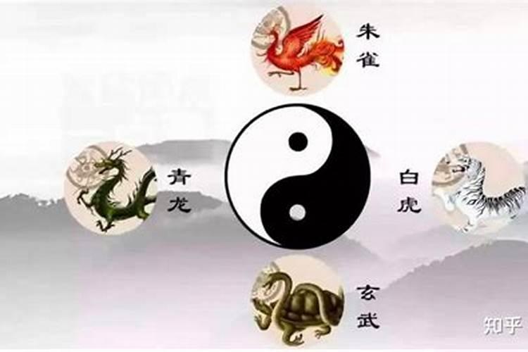 什么房子越住越富有