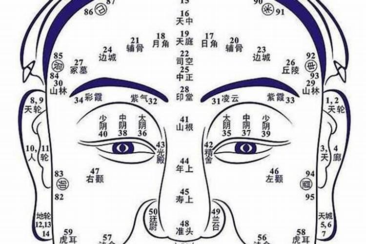 相学的麻衣相术