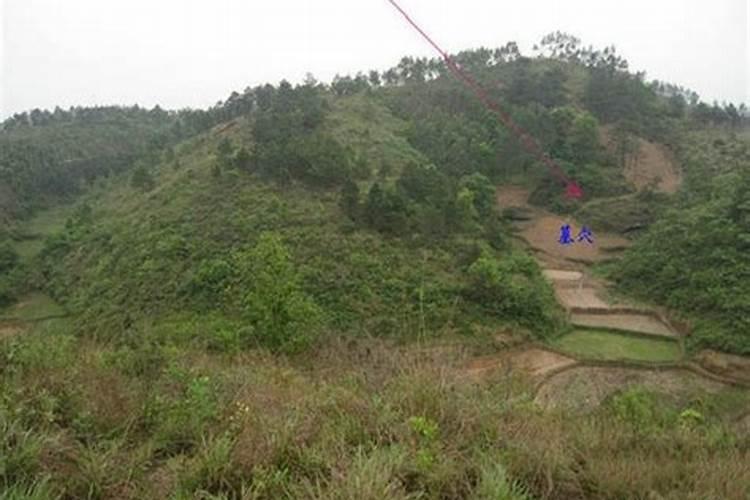怎样的坟墓旺丁旺财,看墓地风水小诀窍