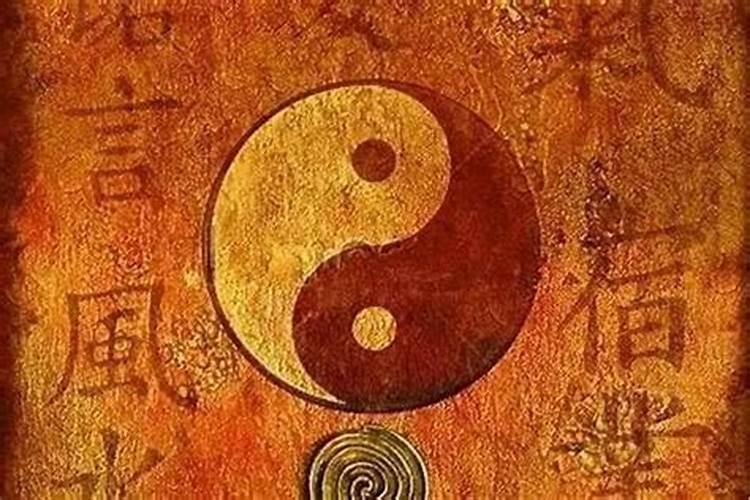 一对大象左右正确摆放图片