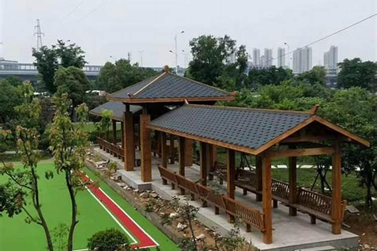 酒店大堂放什么植物合适？