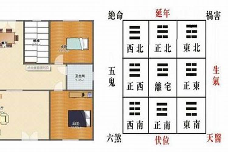 为什么风水师看阴宅不能看看阳宅
