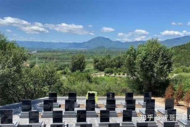洋人运是什么意思？