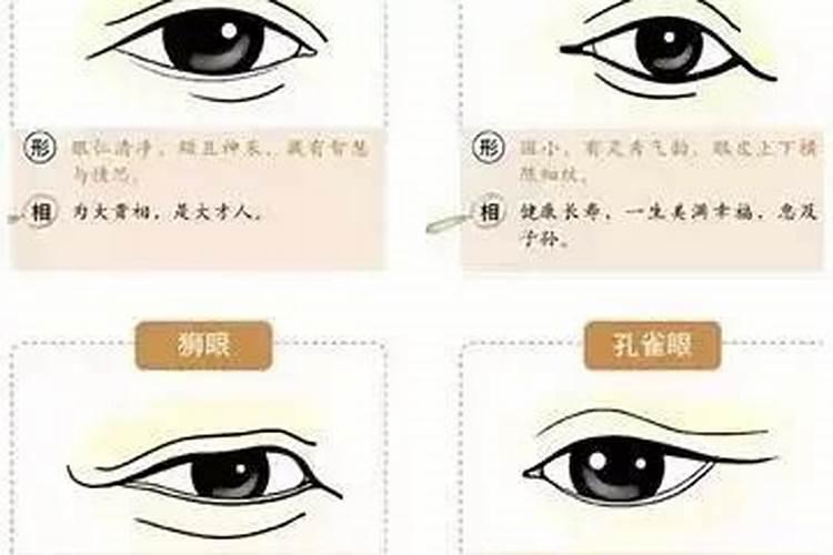 这是什么眼？挑花眼？丹凤眼？杏眼？