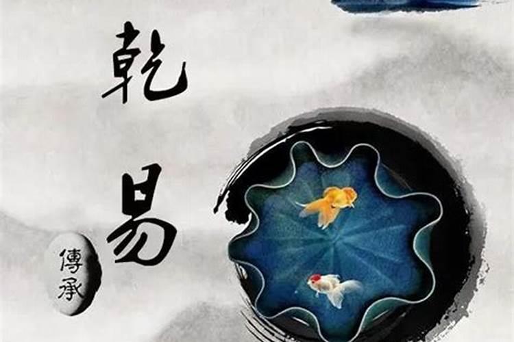 鱼缸放什么辟邪招财