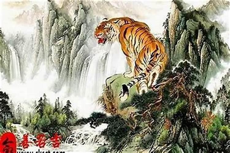 家里风水植物摆放的风水知识