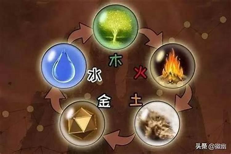 饿金命八字缺木怎么弄风水呀？