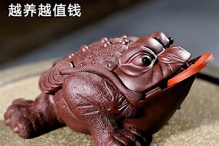 金蟾的摆放方法及禁忌 金蟾风水招财方式
