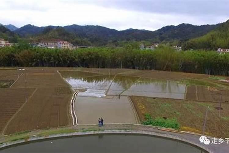 打卡罗田九资河风景区的攻略是什么？