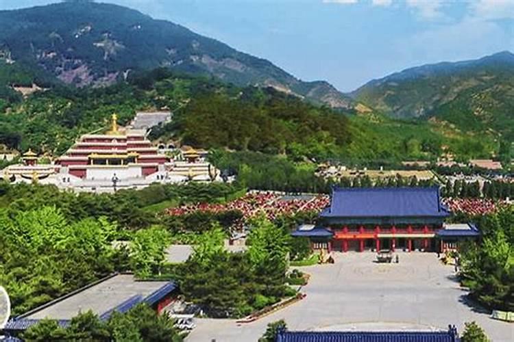 上海唯一的一家有佛教区的墓地在哪里？