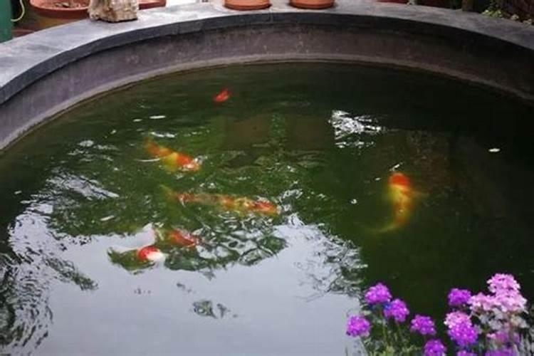 在客厅的楼顶你做个水池养鱼风水角度来看好不好
