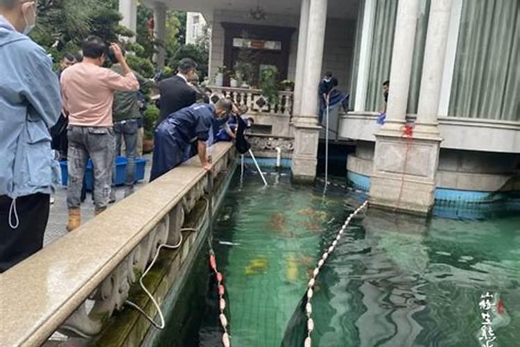好风水画出来,风水鱼画家都有谁？
