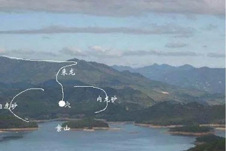 老人说家养三种动物可驱邪镇宅,指的是哪三种动物,你家养哪种？