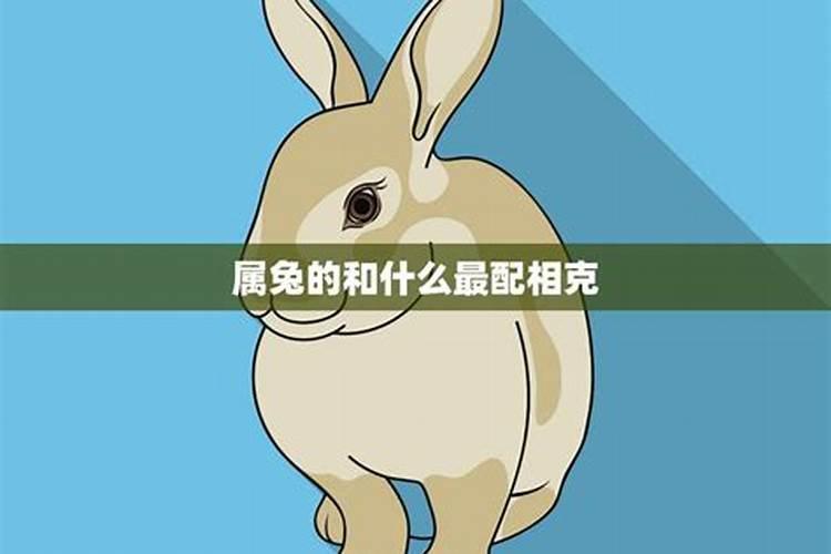 公鸡的摆放位置有什么讲究？