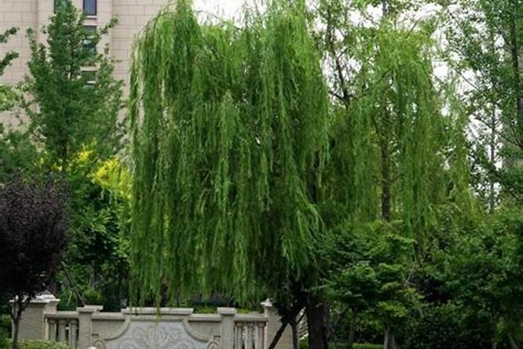住宅河流风水有什么讲究？