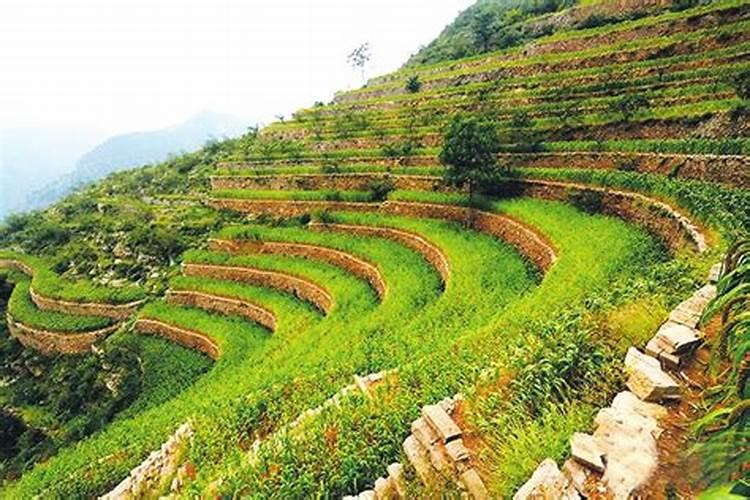 山里是不是都有风水宝地