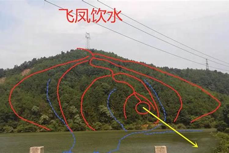 风水大师分析:想旺横财运 可以这样做