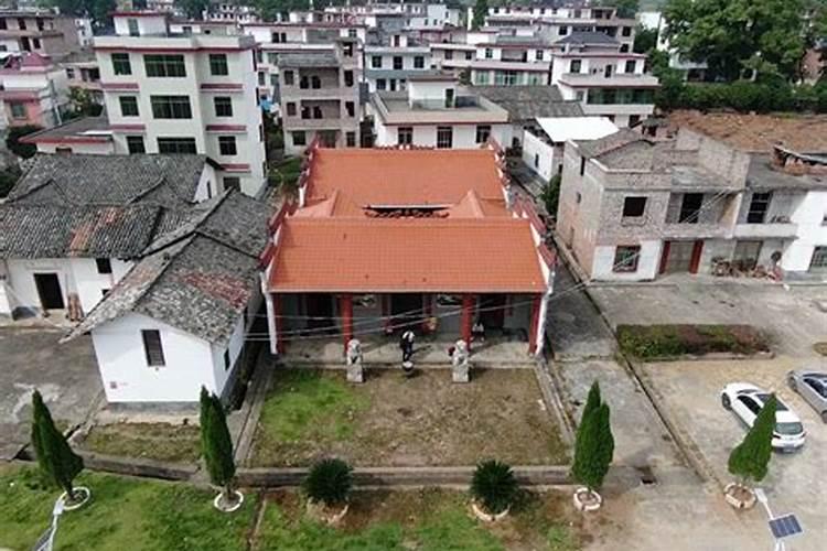 曾杨二仙师是谁吗
