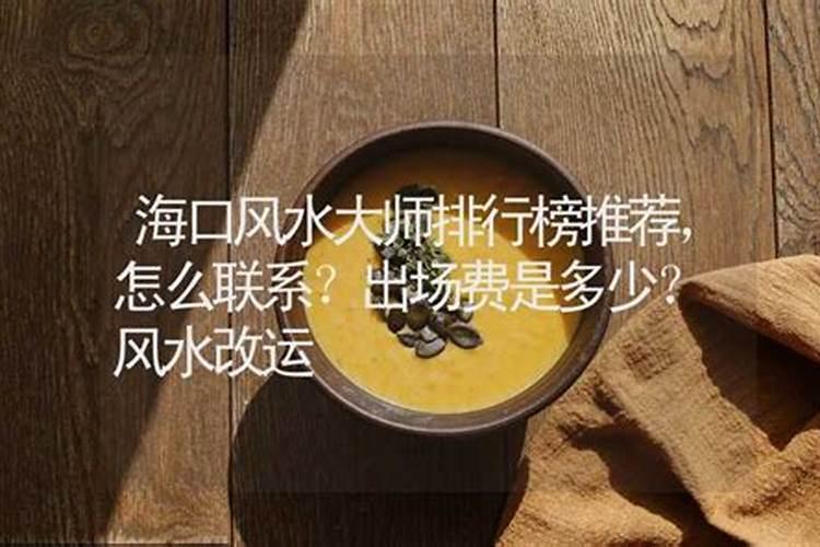 海真中华易经名家海真先生简介