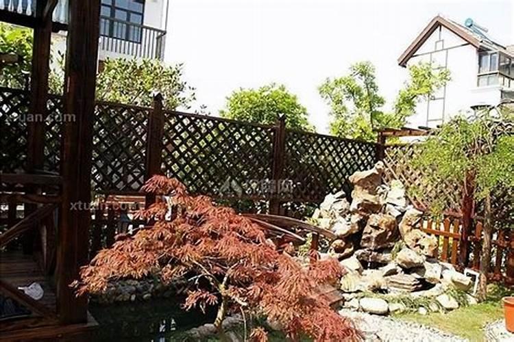 房子周围的树的风水大全,风水好坏全靠它？