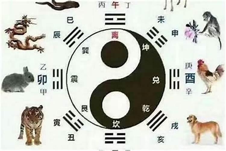 十二生肖什么风水最旺