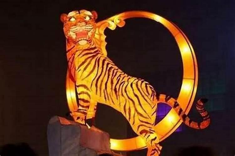 最旺属虎人的5个数字