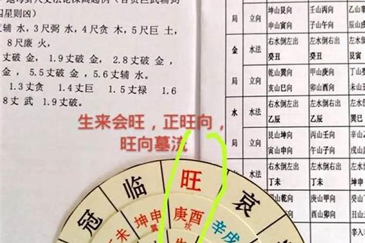生肖猴的家居风水布置