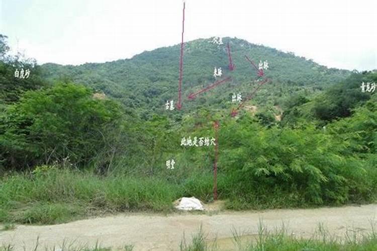 沂南县竹泉村门票价格 多少钱一张