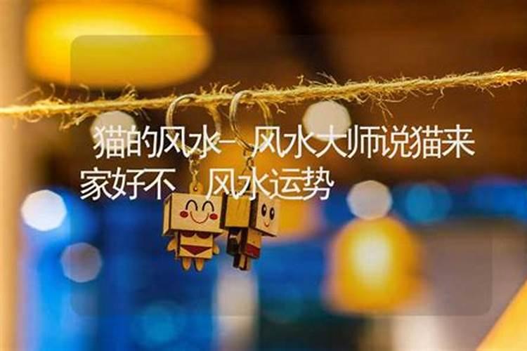 看见蝙蝠有什么说法民间说法和现代说法
