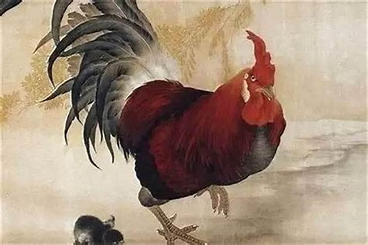 我西边邻居房比我的房又高又宽风水上好吗？