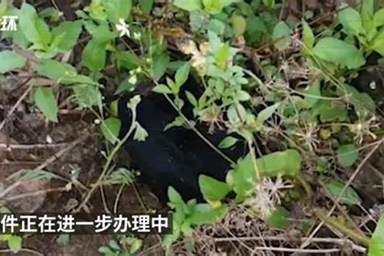 墙上钉子拔掉风水就会正常
