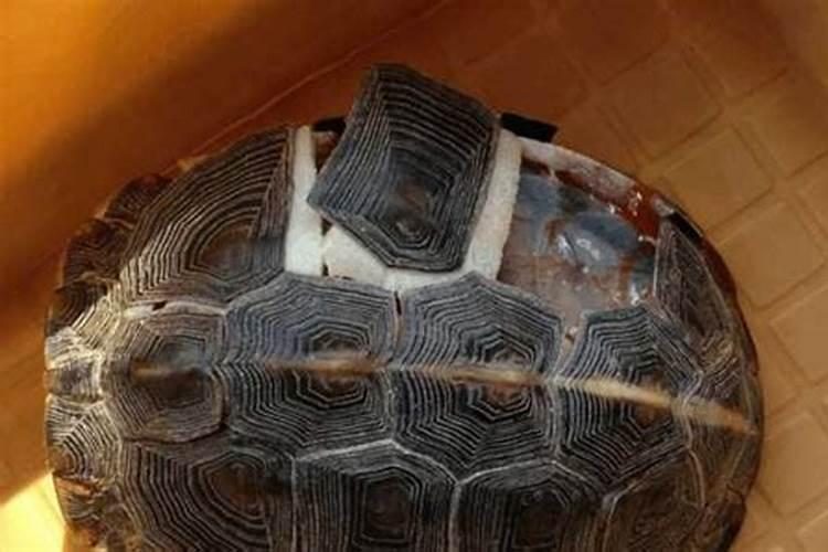 风水是真还是假？  知乎