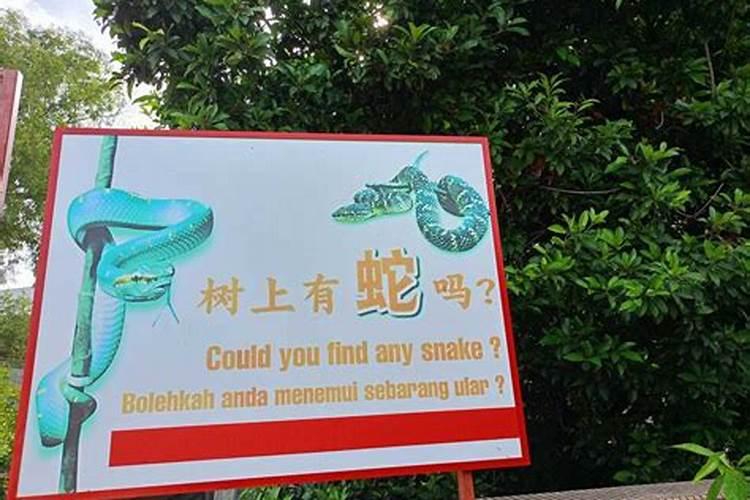 不能忽略别墅的风水禁忌 有什么别墅的风水禁忌