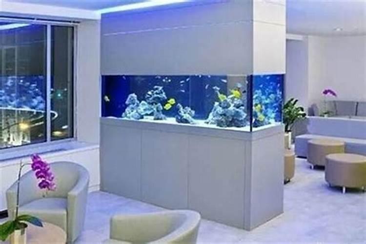 办公室养鱼的风水有什么讲究