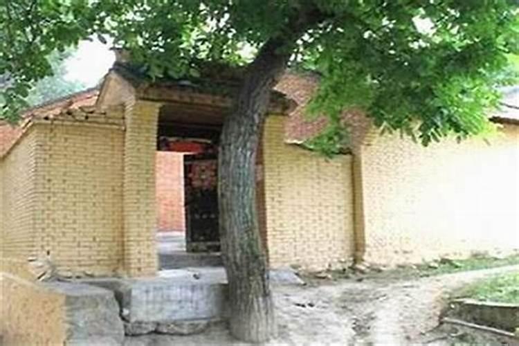这两种住宅风水案例,你必须看一下