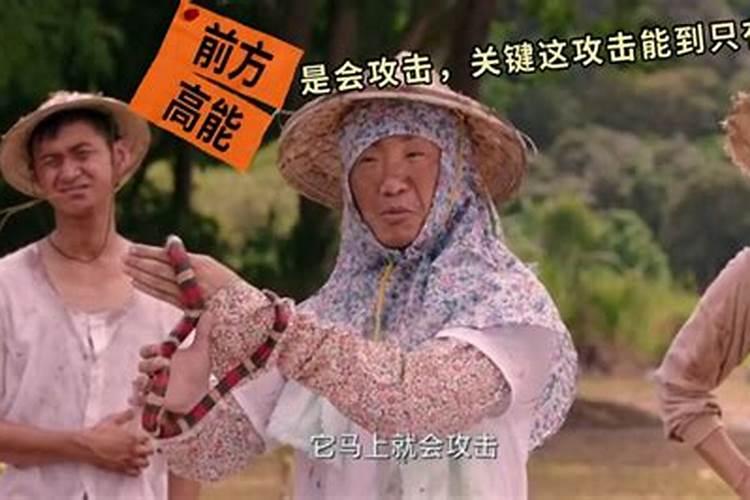 求风水玄术相术类的耽美小说