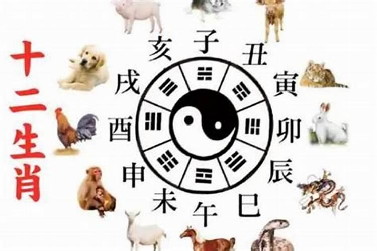 感觉运气不好怎么调整 如下五个方法可以调整运气