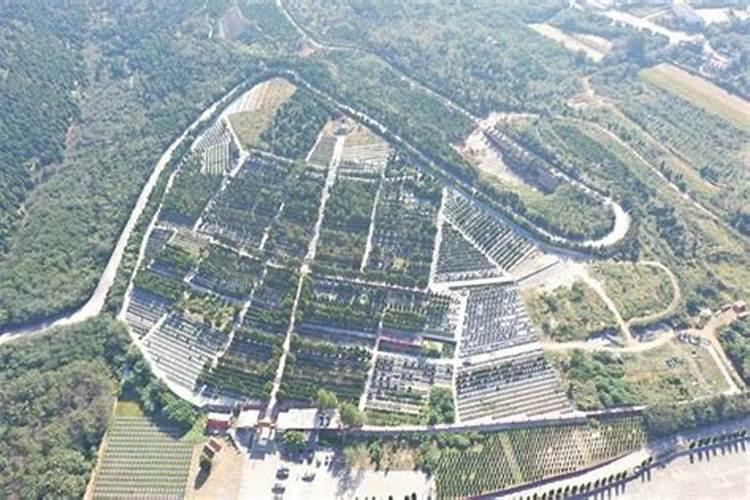 矿泉水怎样放才会招财？