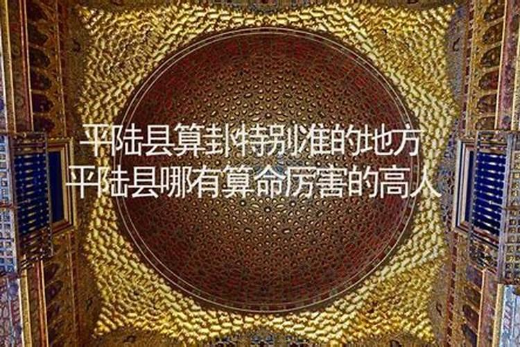 天台华顶杜鹃导游天台云顶杜鹃导游