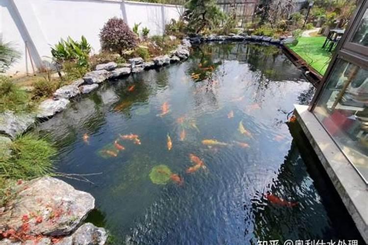 家居鱼池风水讲究有哪些？