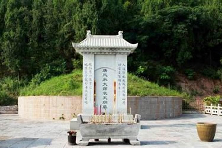 在家里财位上旁边养一大一小两只草龟对风水有没有影响？和财位上的大...