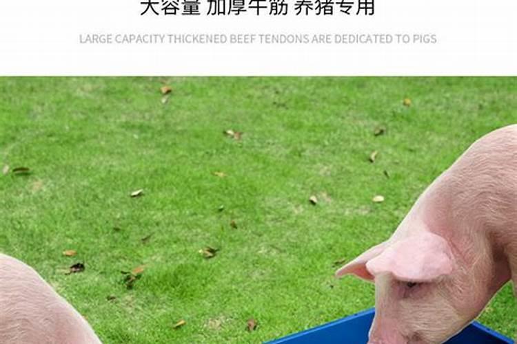 猪食槽放在家里吉利吗