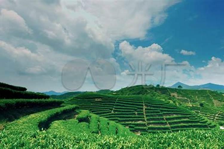 洛阳凤凰山生态纪念园有名人下葬吗？