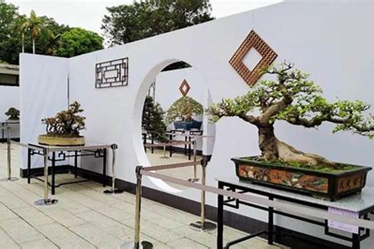 扒房是什么意思