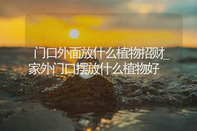 过年家门口都会摆什么 过年大门挂件挂什么好