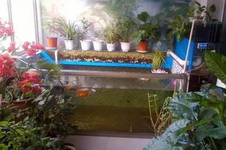 如何化解顶楼风水