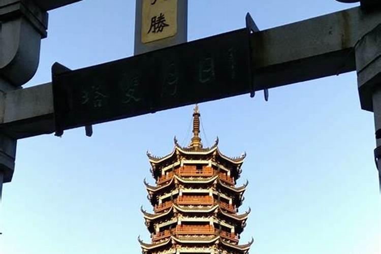 郑军个人简介
