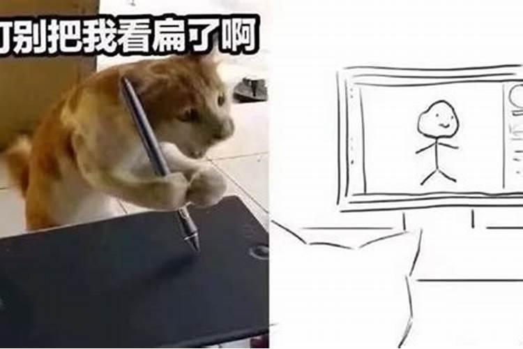 客厅挂画风水方位大揭秘,东西南北别乱选