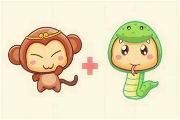 2025年属猴不能上坟吗